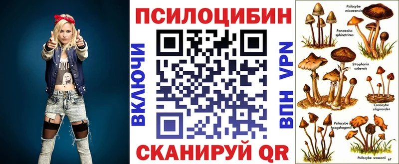 даркнет сайт  KRAKEN рабочий сайт  Галлюциногенные грибы Psilocybine cubensis  Чекалин 